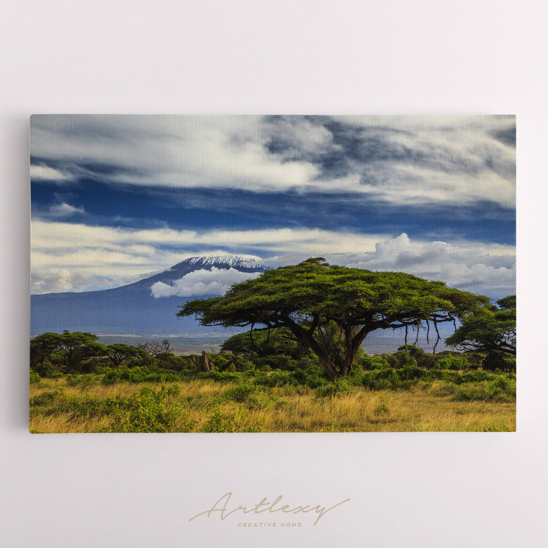 Mount Kilimanjaro Landscape Kenya Africa Canvas Print ArtLexy   