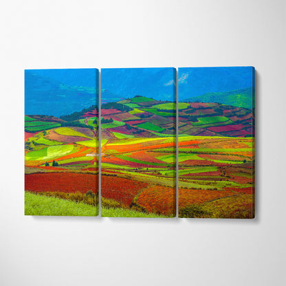 Dongchuan Red Land Canvas Print ArtLexy 3 Panels 36"x24" inches 