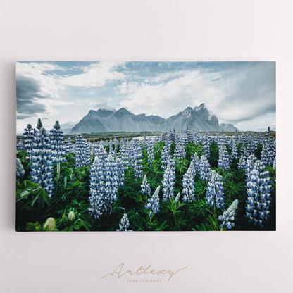 Vestrahorn (Batman Mountain) with Blooming Lupine Flowers Canvas Print ArtLexy   