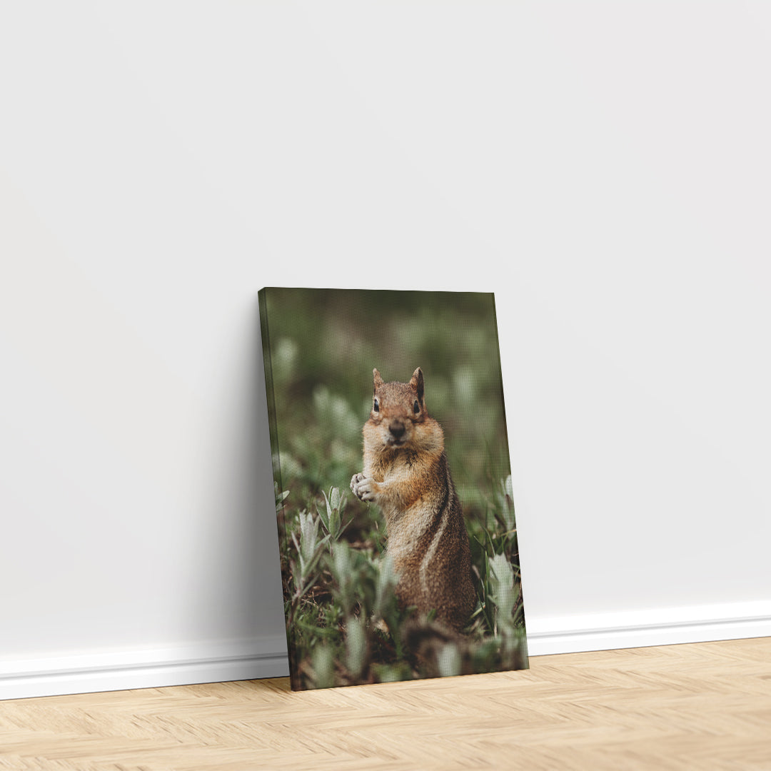 Cute Chipmunk in Forest Canvas Print ArtLexy   