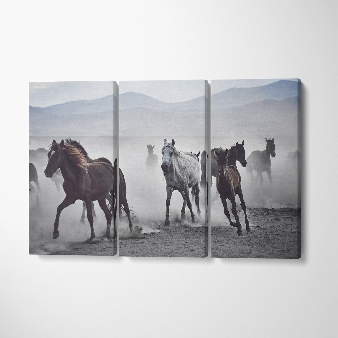 Herd of Wild Horses in Desert Canvas Print ArtLexy 3 Panels 36"x24" inches 