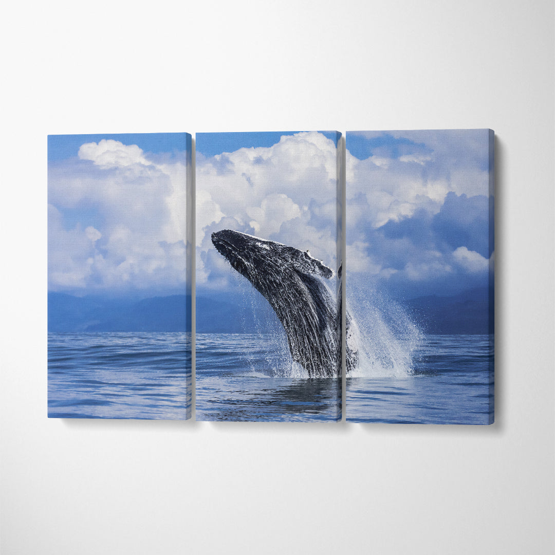 Humpback Whale Costa Rica Canvas Print ArtLexy 3 Panels 36"x24" inches 