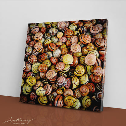 Colorful Snail Shells Canvas Print ArtLexy   