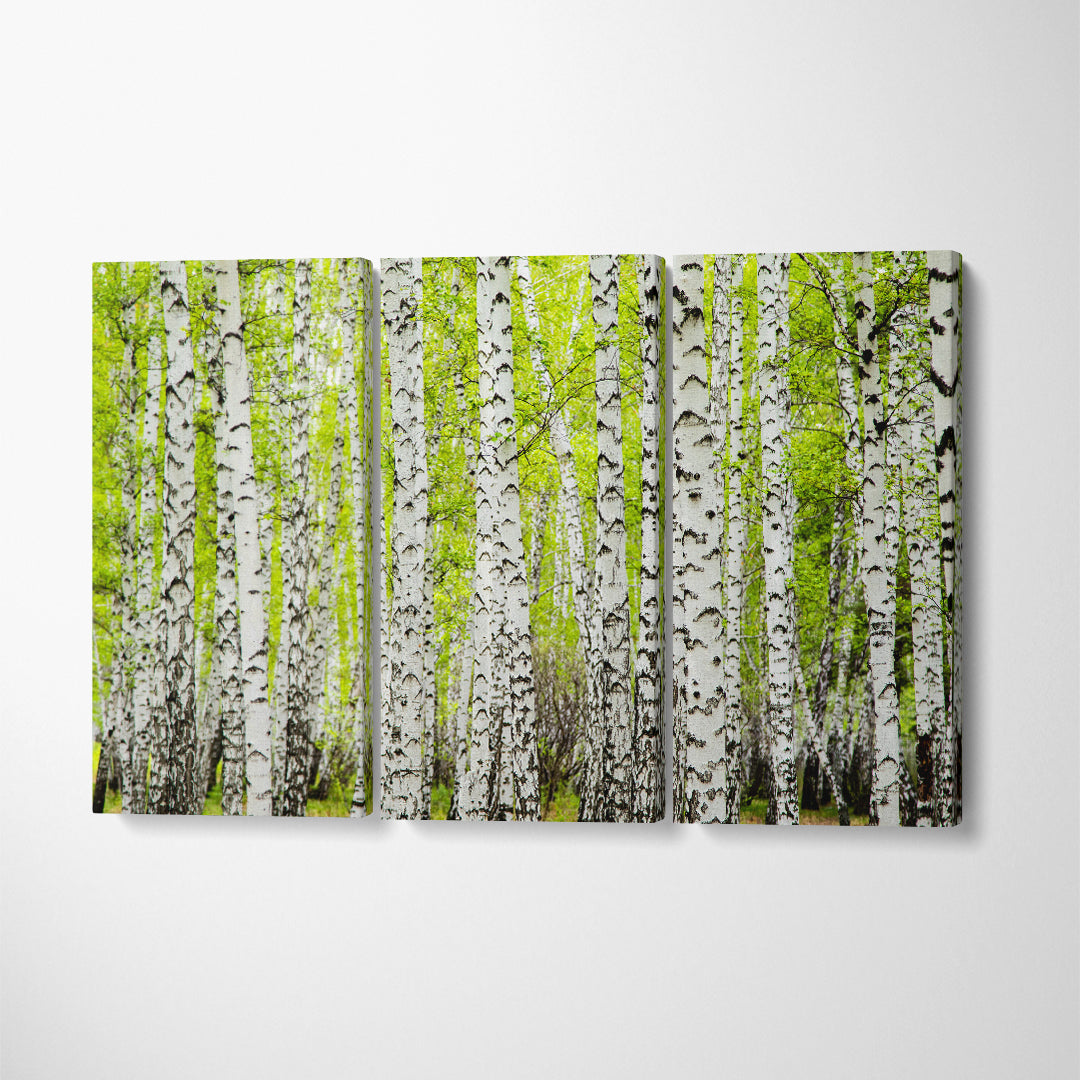 Amazing Birch Forest Trees Canvas Print ArtLexy 3 Panels 36"x24" inches 
