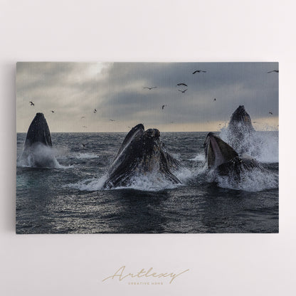 Humpback Whales Canvas Print ArtLexy   
