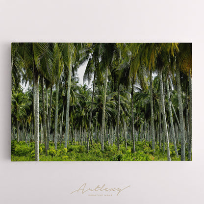 Coconut Palm Tree Plantation Canvas Print ArtLexy   
