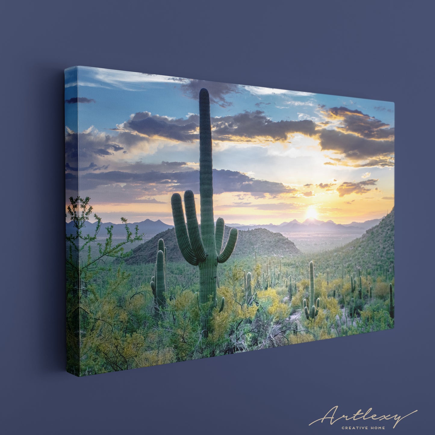 Saguaro National Park Arizona Canvas Print ArtLexy   