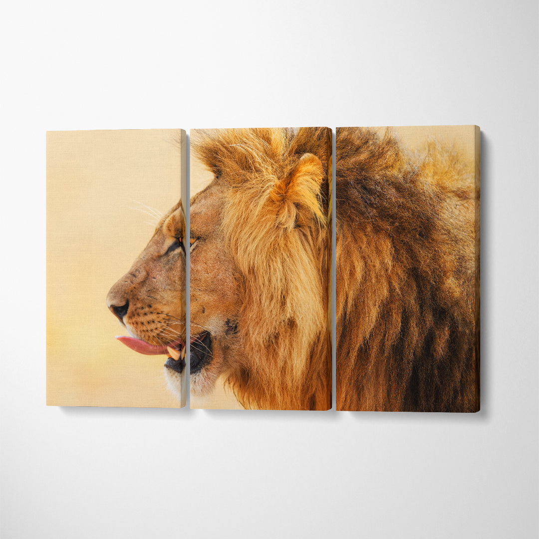 Big Lion in Masai Mara Kenya Canvas Print ArtLexy 3 Panels 36"x24" inches 