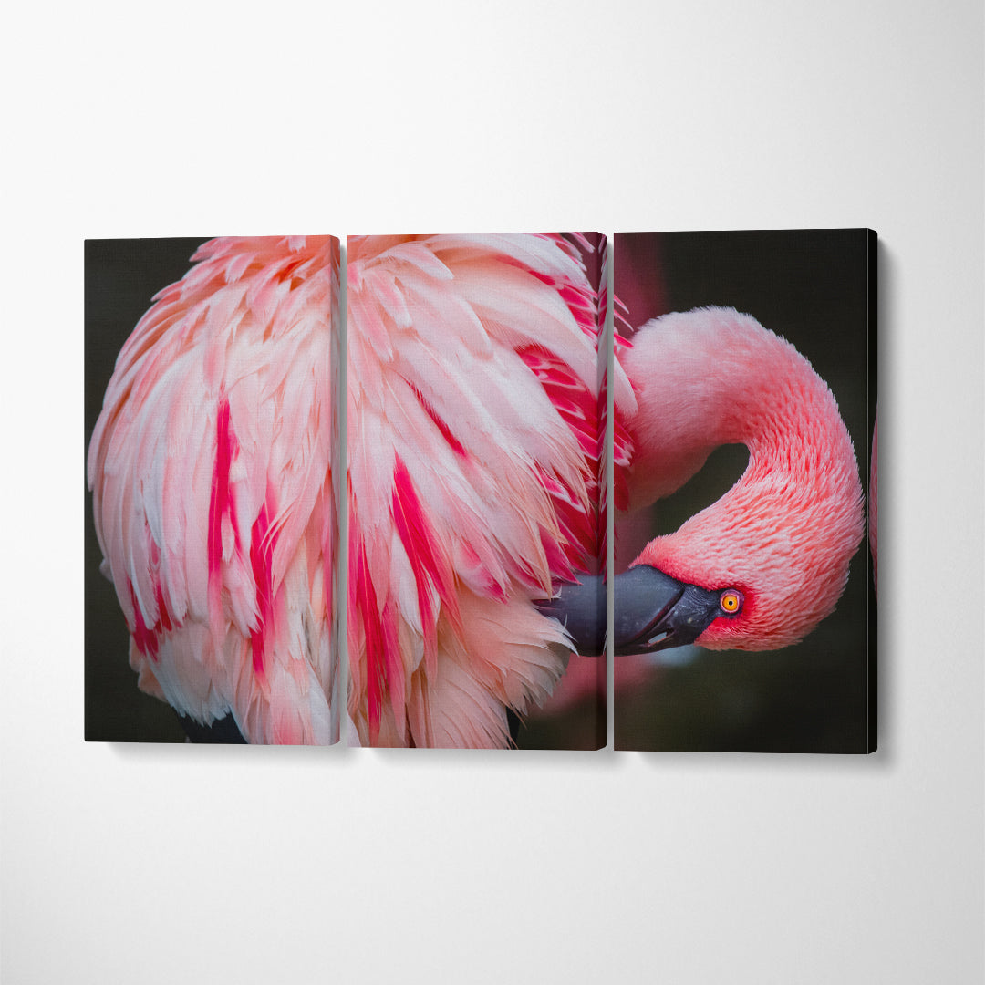Beautiful Flamingo Canvas Print ArtLexy 3 Panels 36"x24" inches 