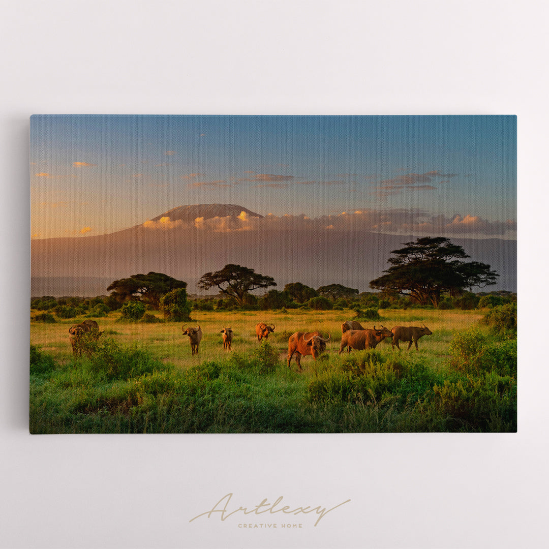 Buffalo in front of Mount Kilimanjaro Kenya Canvas Print ArtLexy   