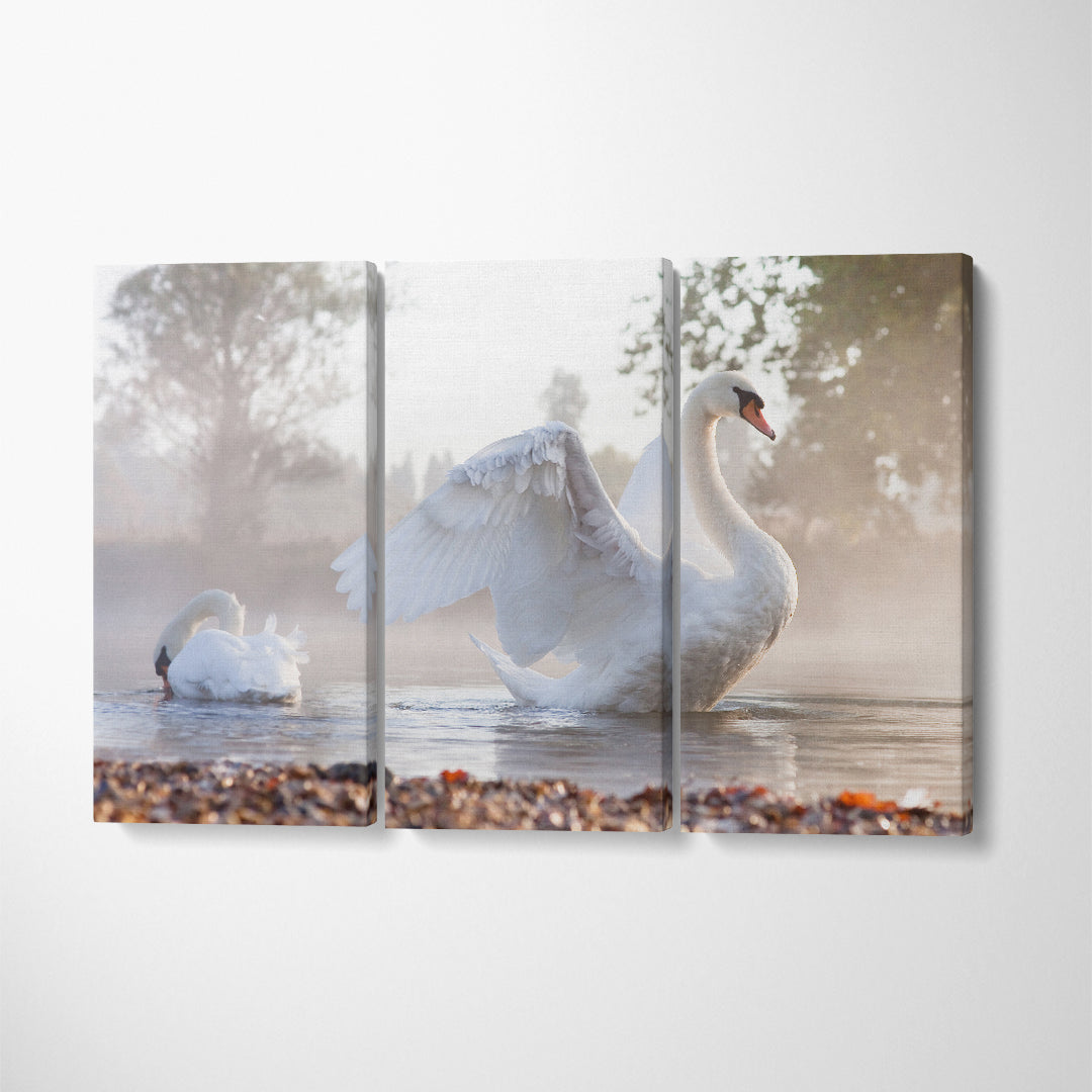 White Swan on Foggy Lake Canvas Print ArtLexy   