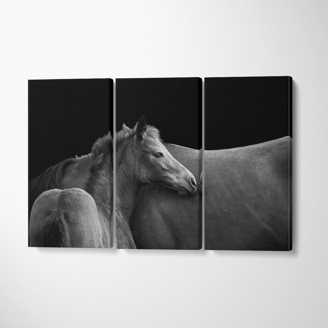 Horse Silhouette with Foal in Black and White Canvas Print ArtLexy 3 Panels 36"x24" inches 