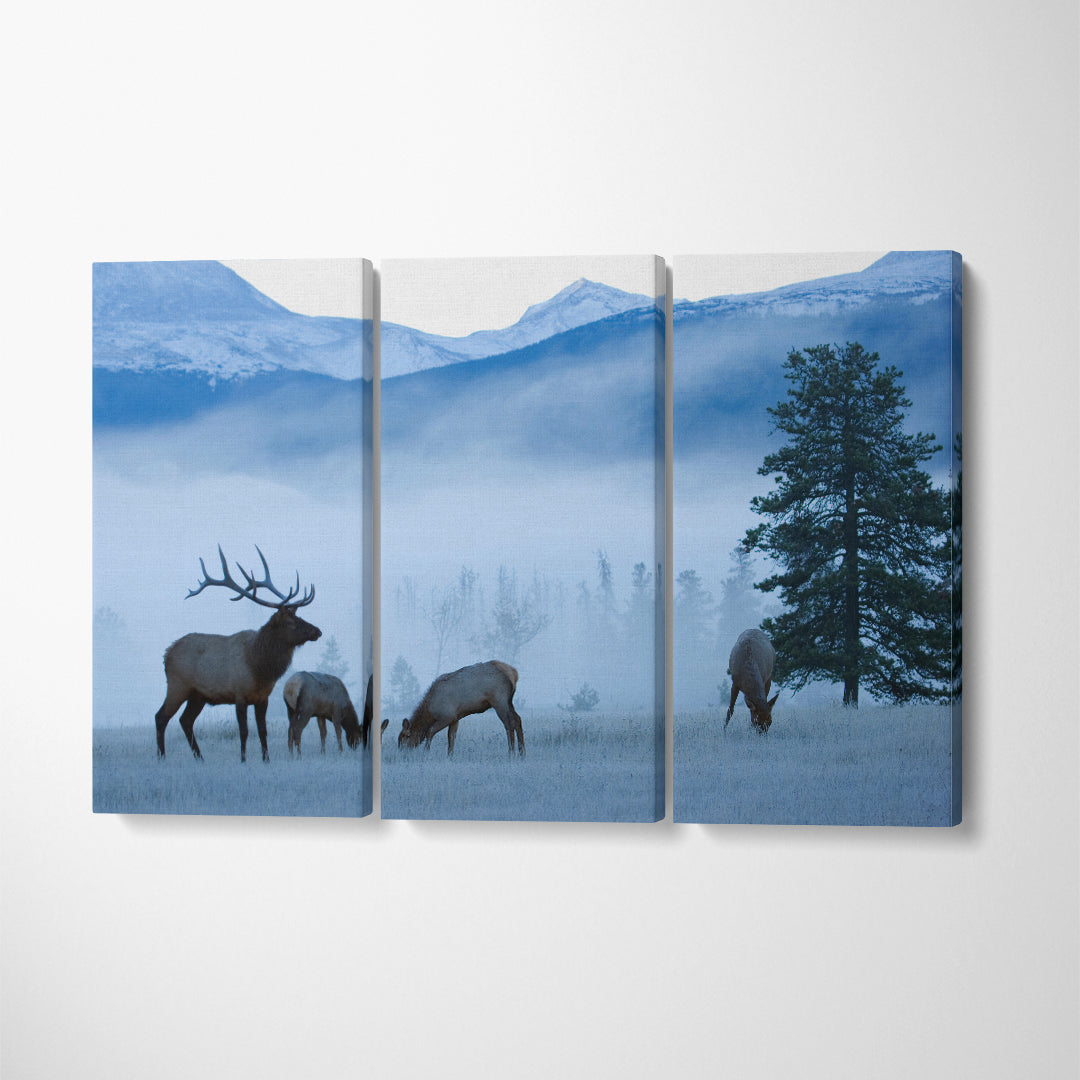 Deer in Rocky Mountains on Frosty Morning Canvas Print ArtLexy 3 Panels 36"x24" inches 