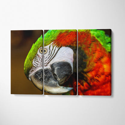 Red-and-Green Macaw Canvas Print ArtLexy 3 Panels 36"x24" inches 