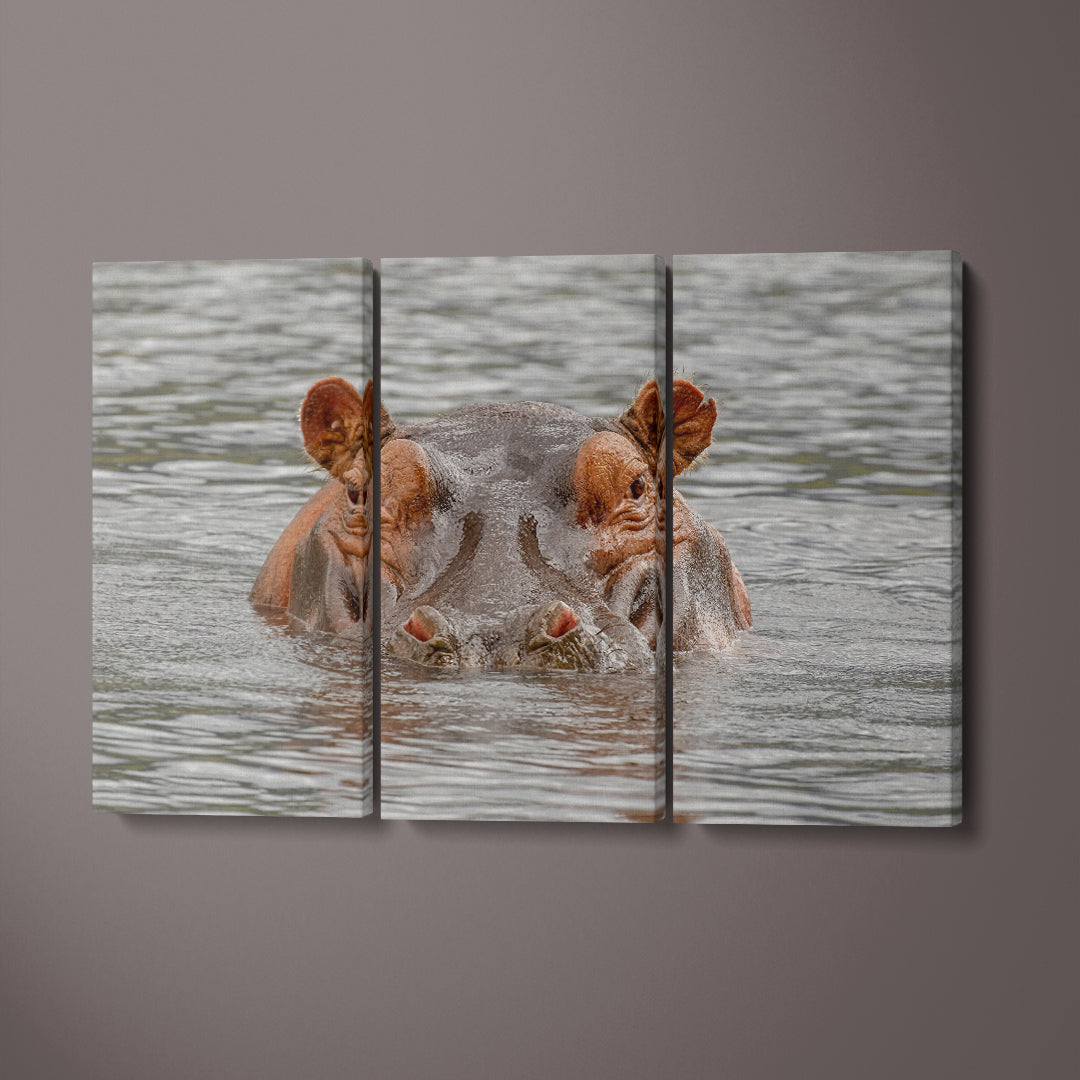 Hippopotamus Ngorongoro Crater Tanzania Africa Canvas Print ArtLexy 3 Panels 36"x24" inches 