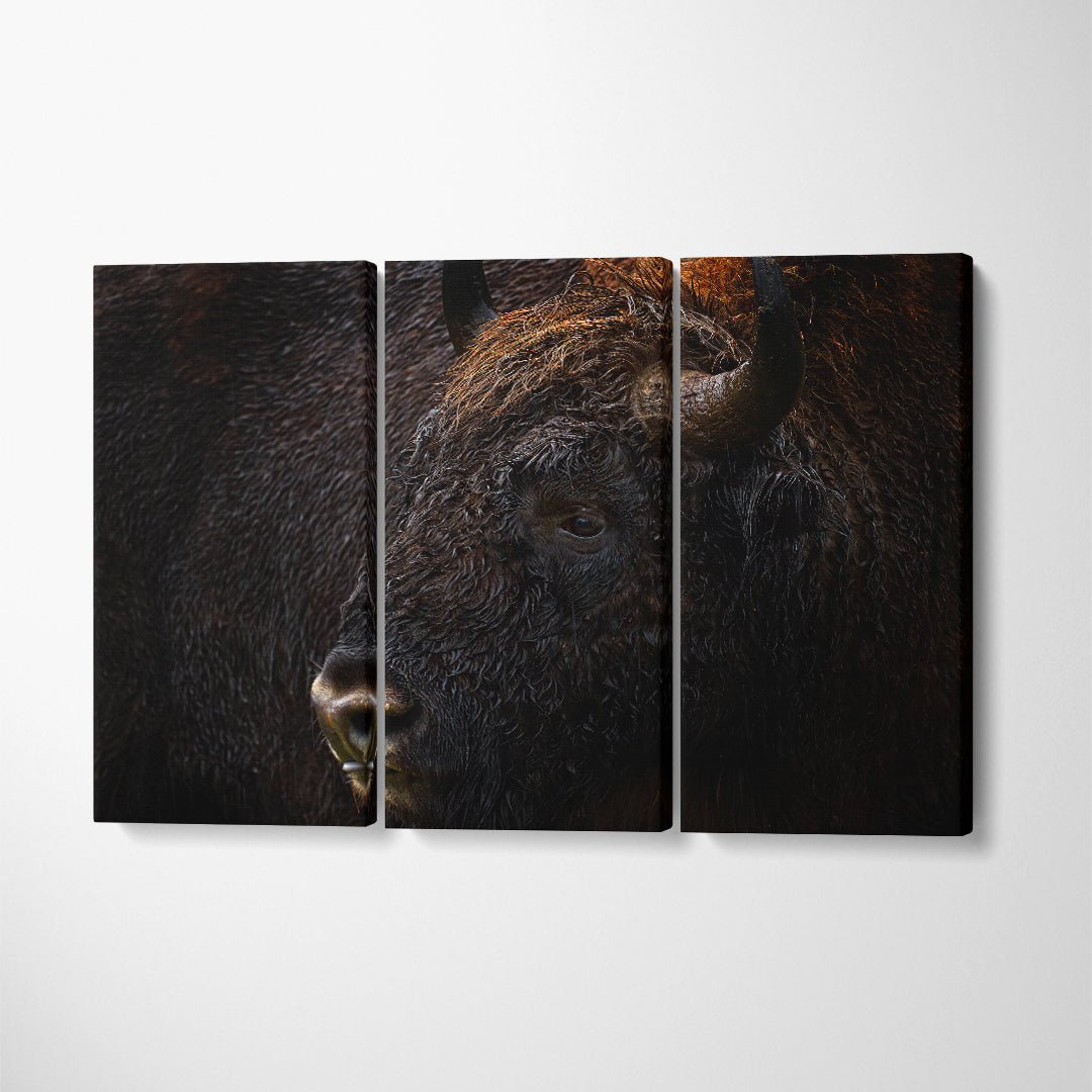 Amazing Bison Portrait Canvas Print ArtLexy 3 Panels 36"x24" inches 