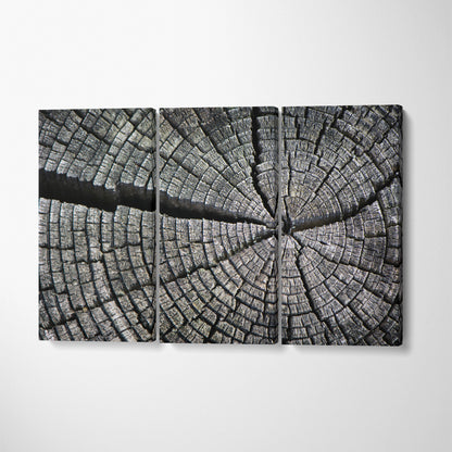 Old Cracked Log Canvas Print ArtLexy 3 Panels 36"x24" inches 