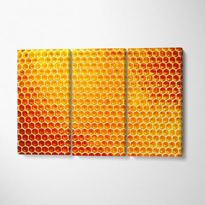 Honeycomb from Beehive Canvas Print ArtLexy 3 Panels 36"x24" inches 