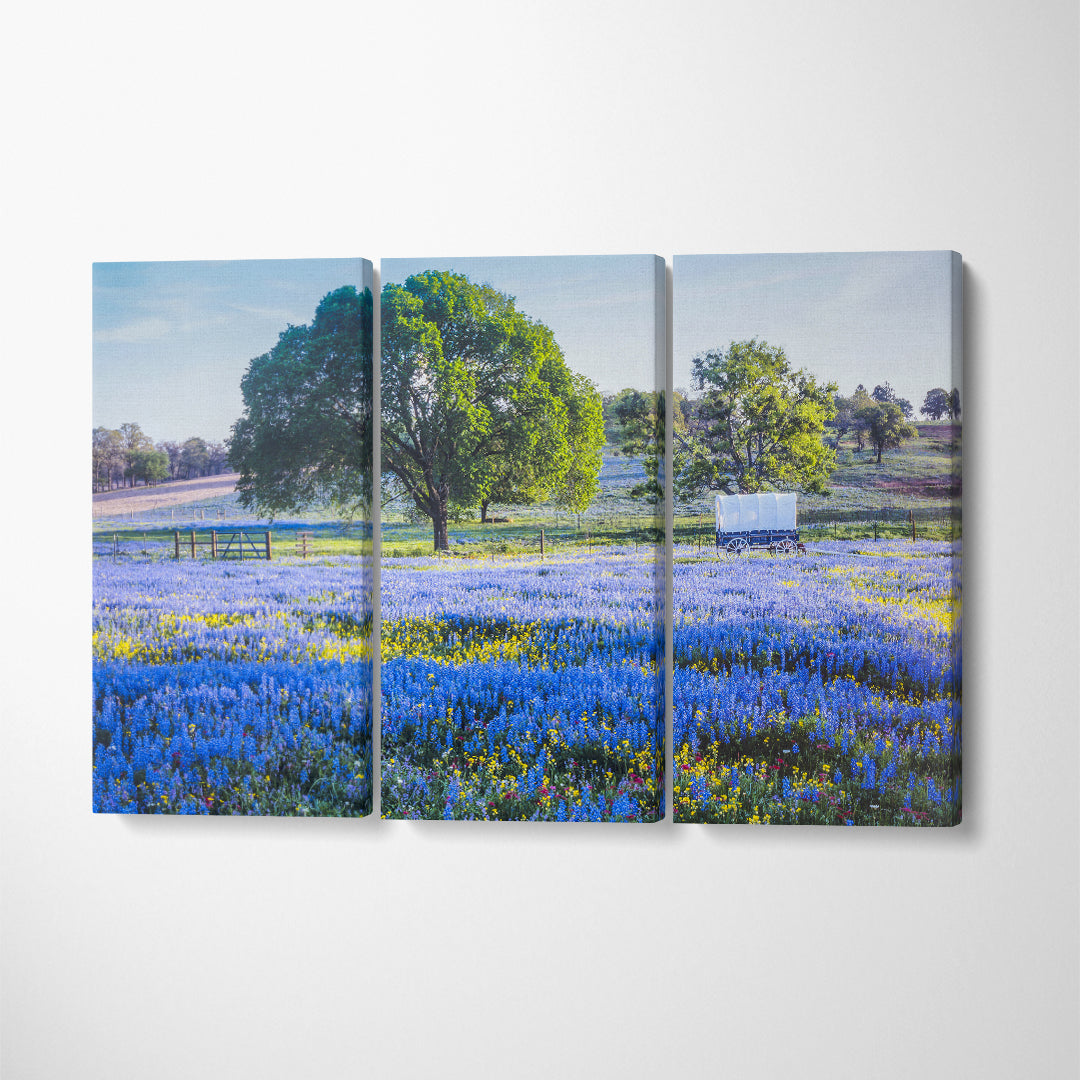 Texas Hill Country South Texas Canvas Print ArtLexy 3 Panels 36"x24" inches 