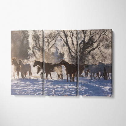 Herd of Horses on Winter Morning Canvas Print ArtLexy 3 Panels 36"x24" inches 