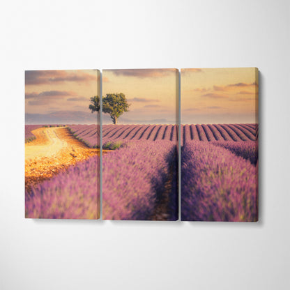 Provence Lavender Fields France Canvas Print ArtLexy 3 Panels 36"x24" inches 