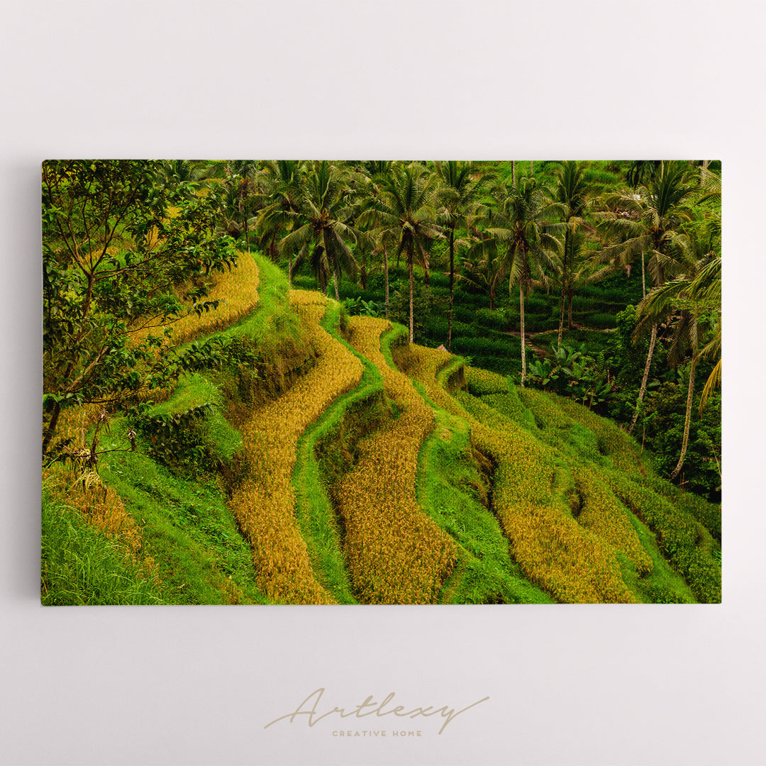 Beautiful Rice Terraces at Ubud Bali Indonesia Canvas Print ArtLexy   