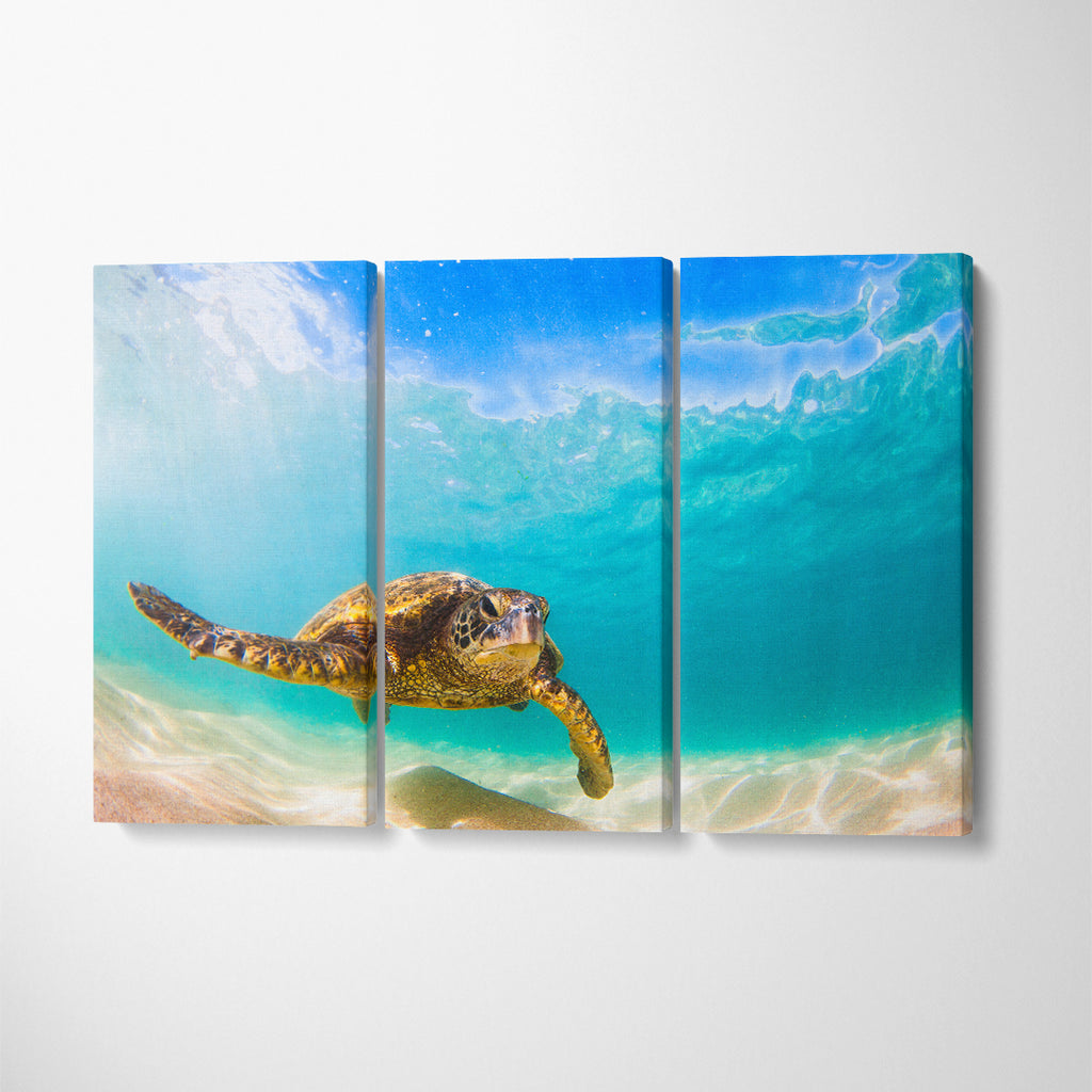 Hawaiian Green Sea Turtle Pacific Ocean Hawaii Canvas Print ArtLexy 3 Panels 36"x24" inches 