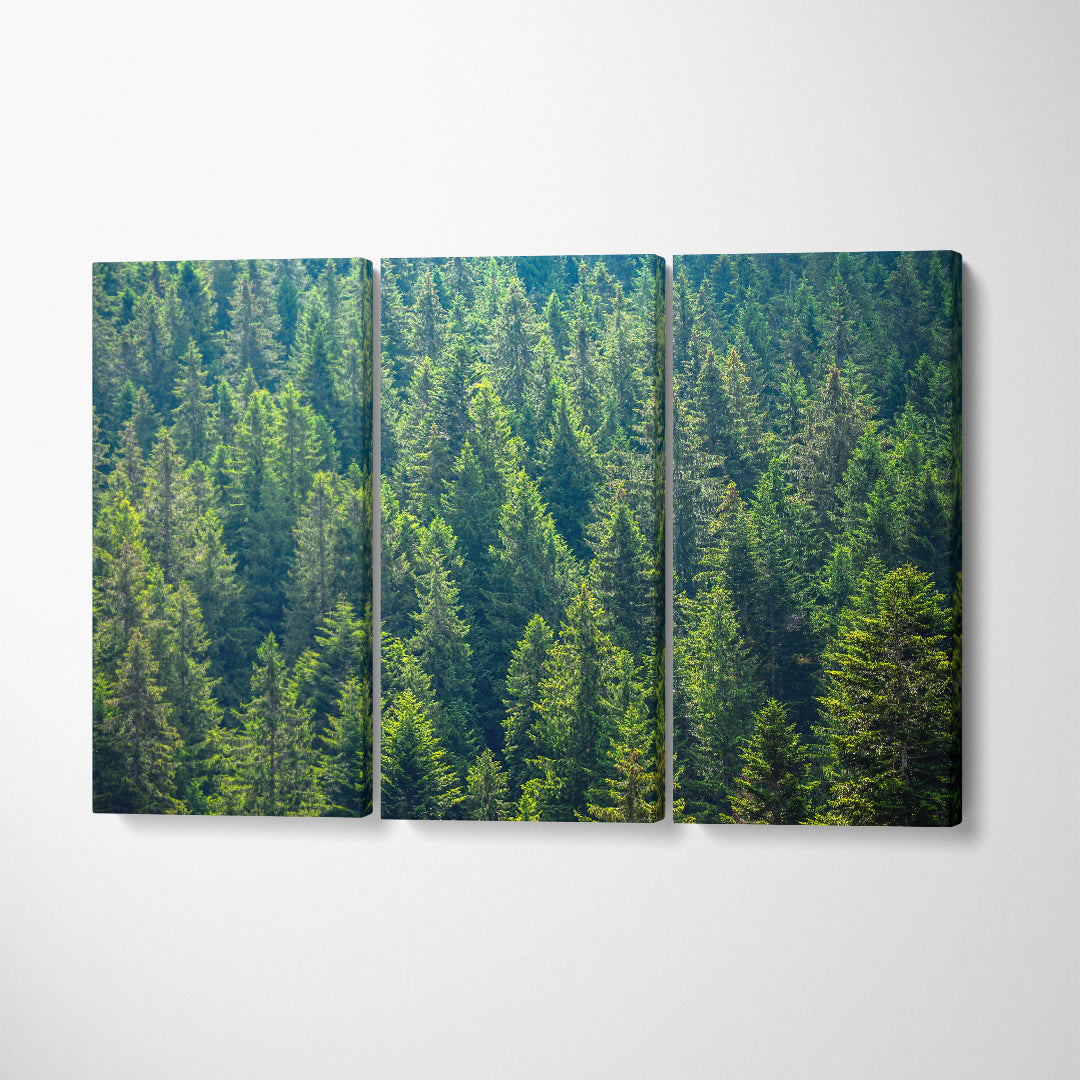 Spruce Forest Landscape Canvas Print ArtLexy 3 Panels 36"x24" inches 