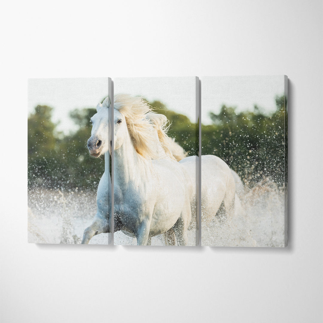 White Horses Running in Water Canvas Print ArtLexy 3 Panels 36"x24" inches 