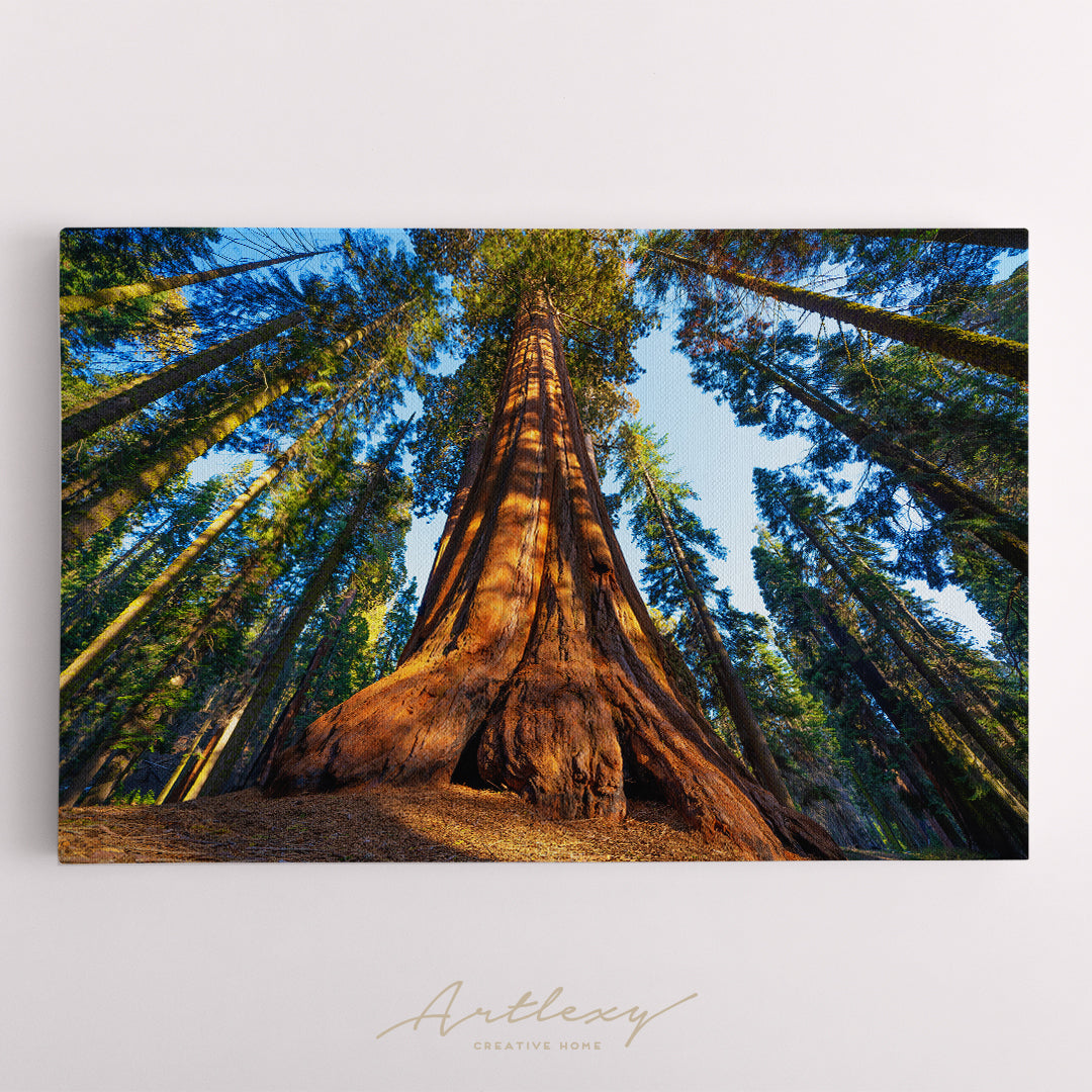 Sequoia outlets National Park, Fine Art Photography Home Wall Decor, Available In 5 Sizes