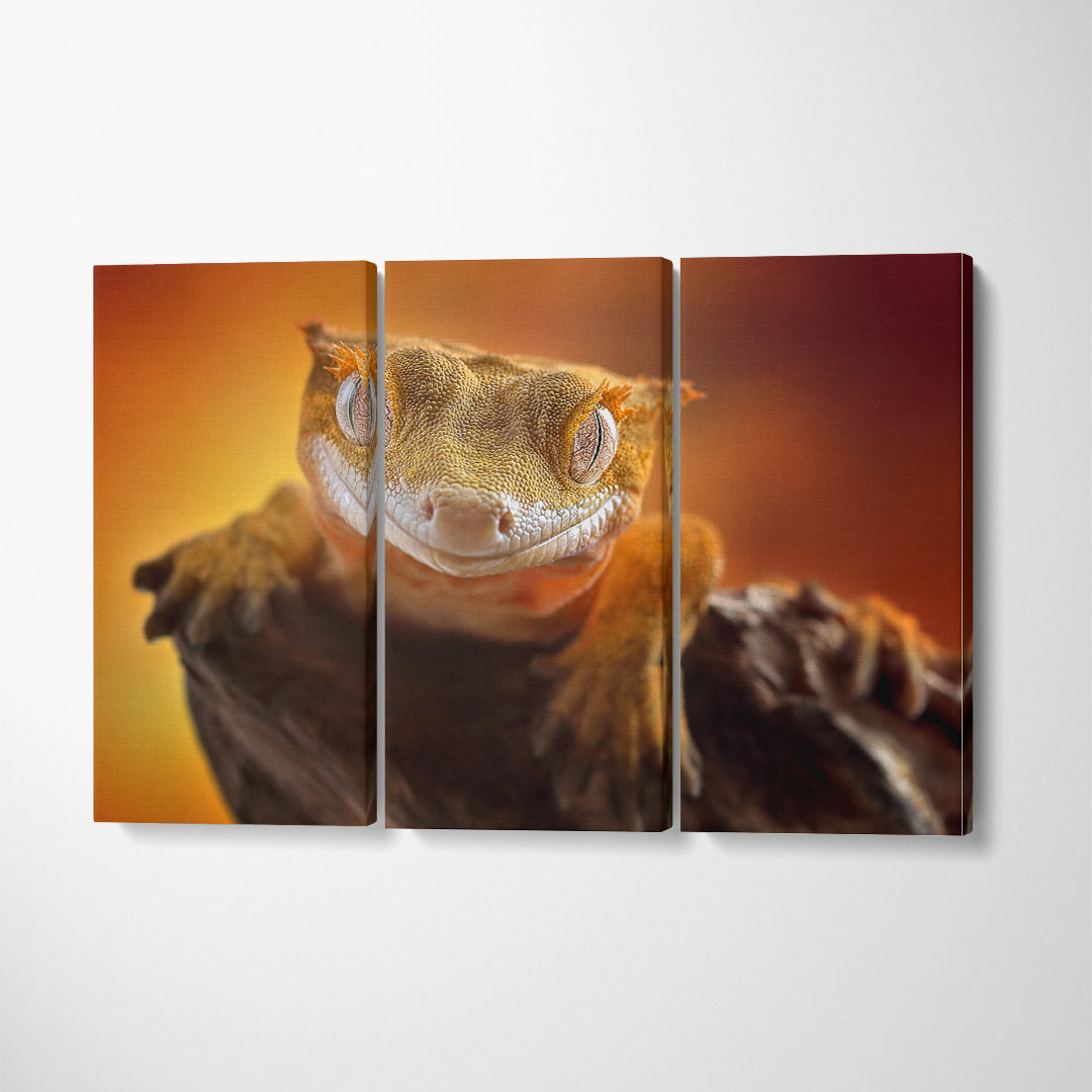 Cute Crested Gecko Canvas Print ArtLexy 3 Panels 36"x24" inches 