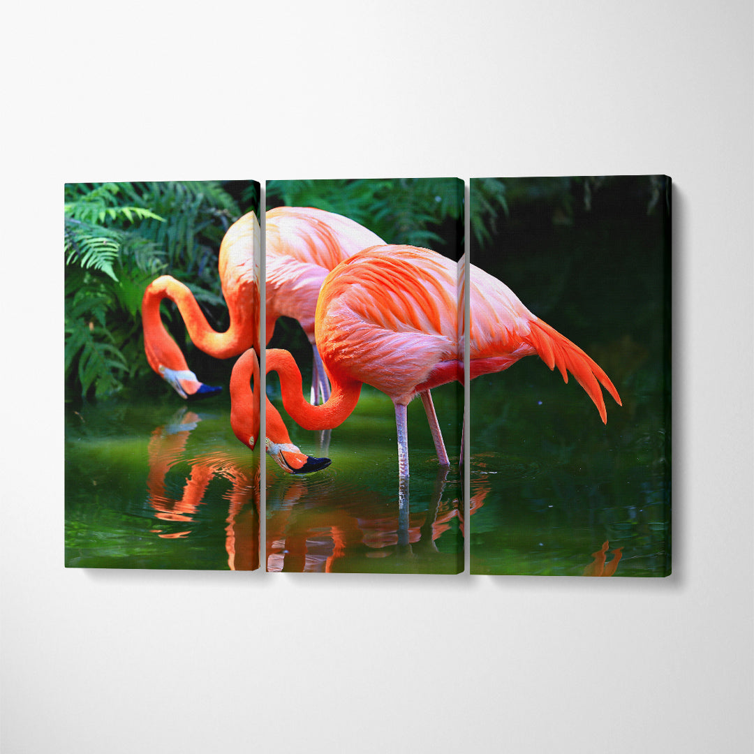 Pink American Flamingos on Pond Canvas Print ArtLexy 3 Panels 36"x24" inches 