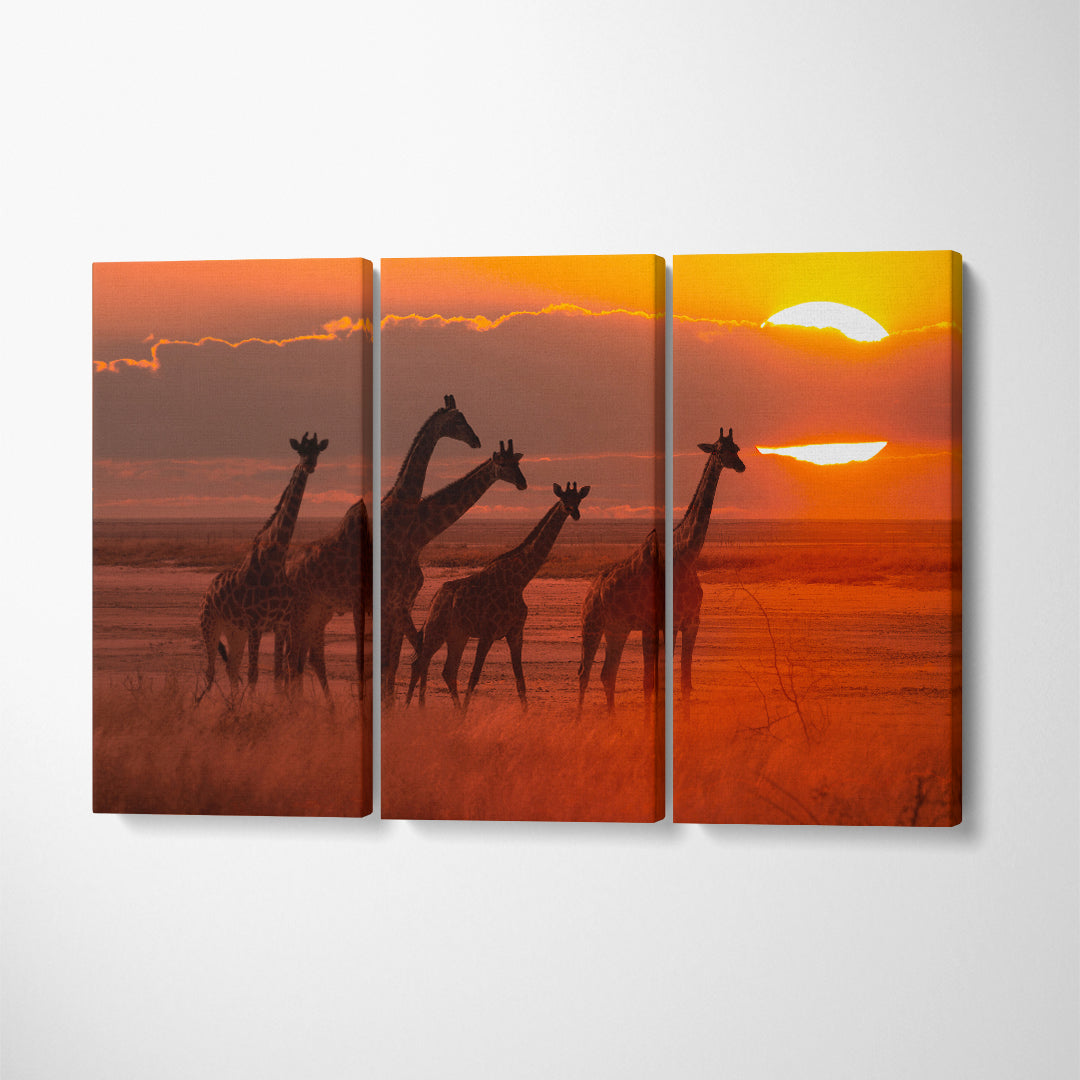 Herd of Giraffes at Sunset Canvas Print ArtLexy 3 Panels 36"x24" inches 