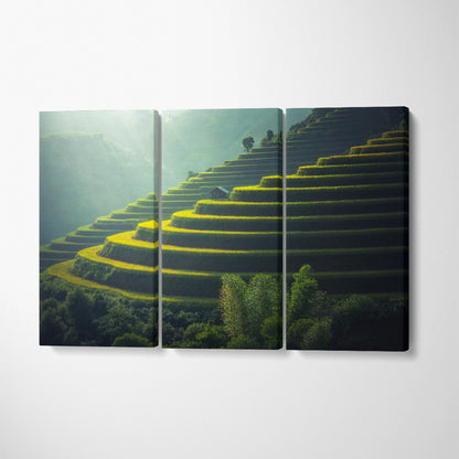 Rice Terraces Vietnam Canvas Print ArtLexy 3 Panels 36"x24" inches 