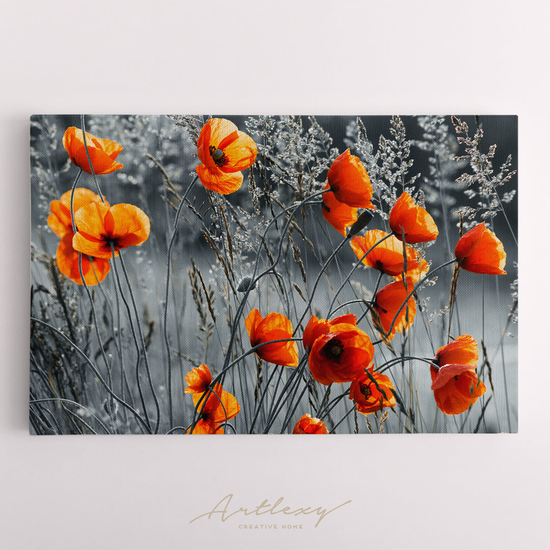 Red Poppy on Gray Field Canvas Print ArtLexy   