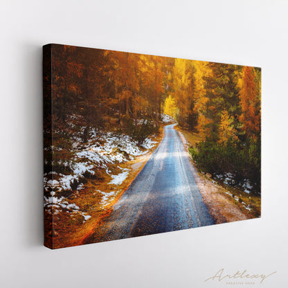 Road In Mountain Forest in Dolomites Alps Canvas Print ArtLexy   