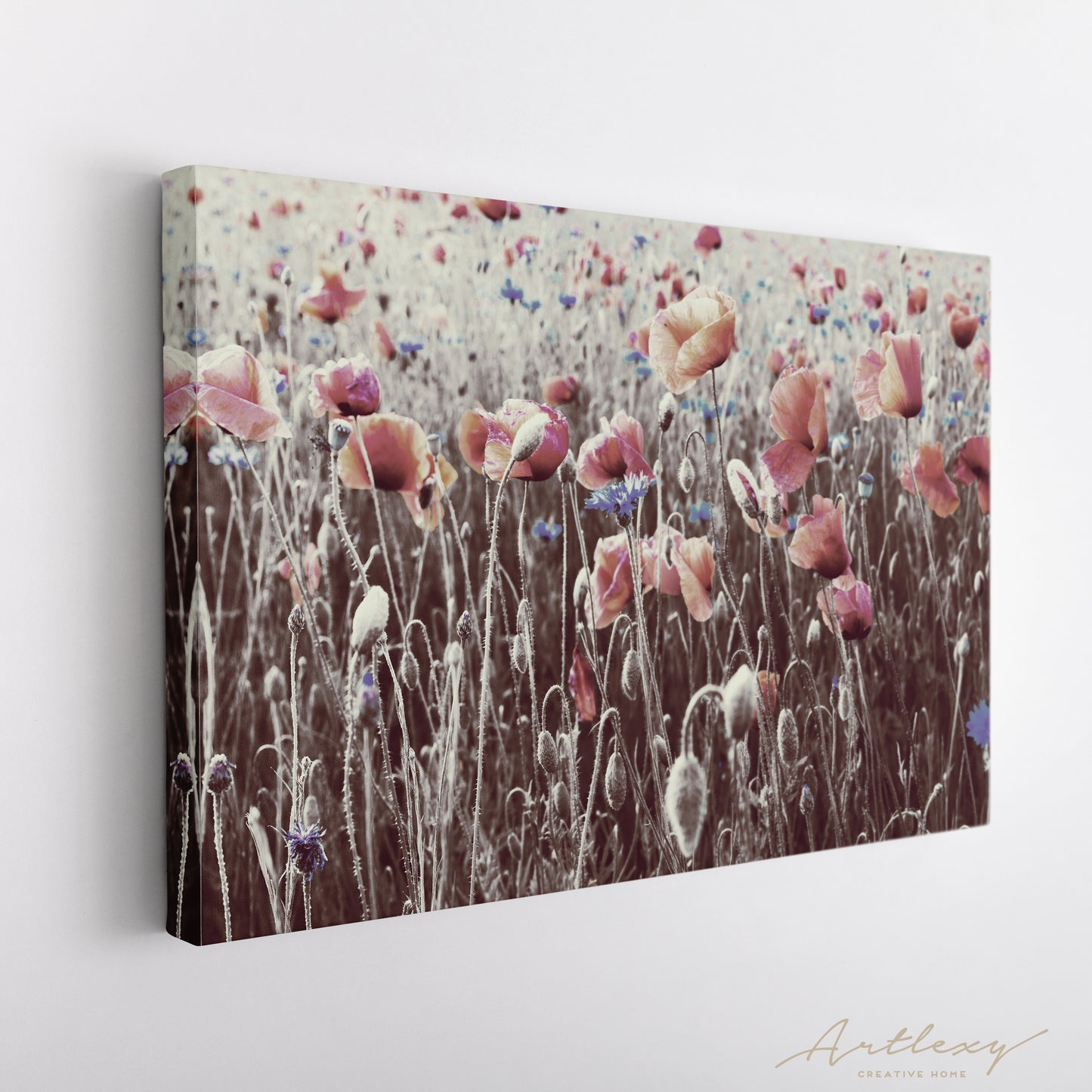 Wild Poppies Canvas Print ArtLexy   
