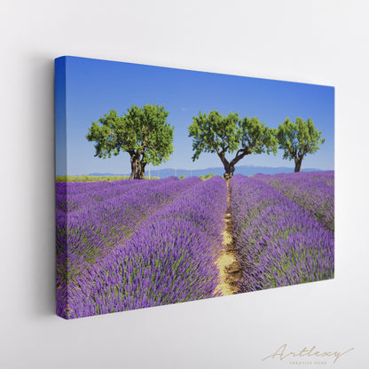Lavender Fields of Provence France Canvas Print ArtLexy   