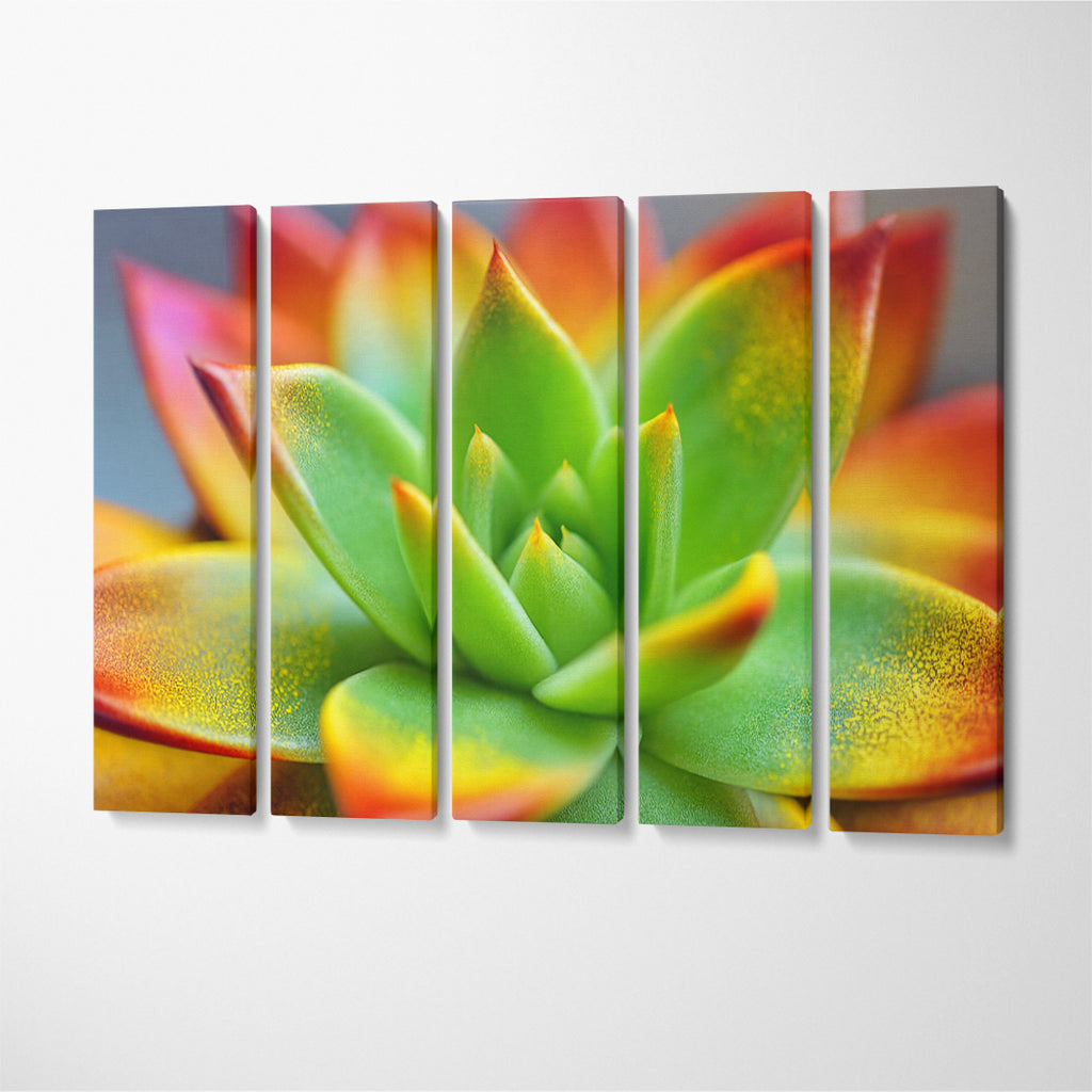 Echeveria Miranda Plant Canvas Print ArtLexy 5 Panels 36"x24" inches 