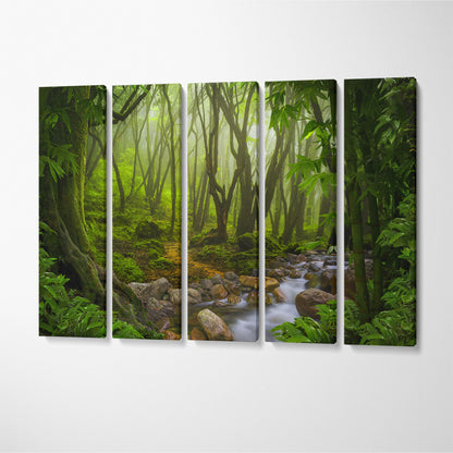 Tropical Rainforest Canvas Print ArtLexy 5 Panels 36"x24" inches 
