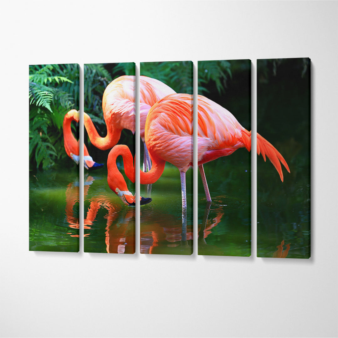 Pink American Flamingos on Pond Canvas Print ArtLexy 5 Panels 36"x24" inches 