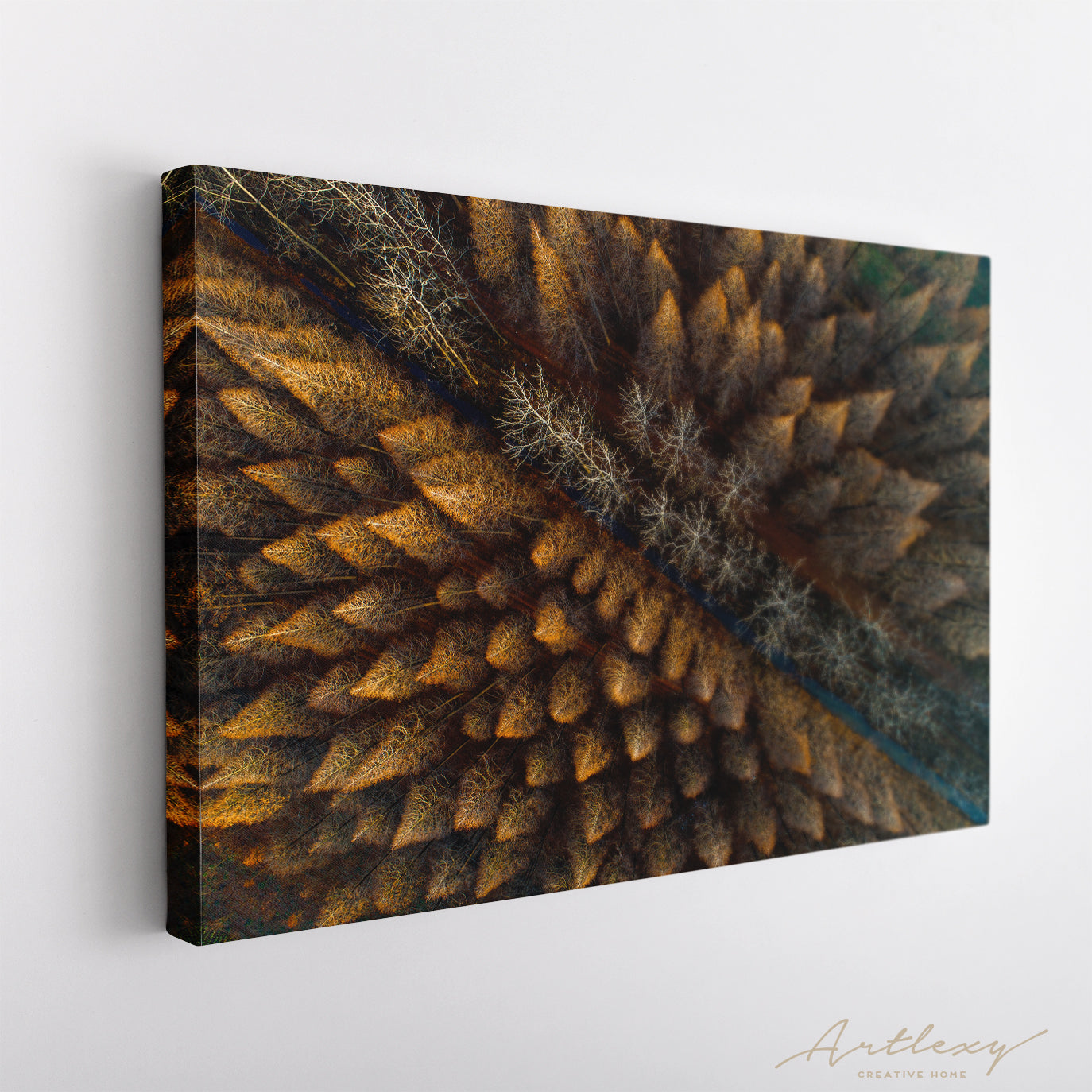 Metasequoia Forest Canvas Print ArtLexy   