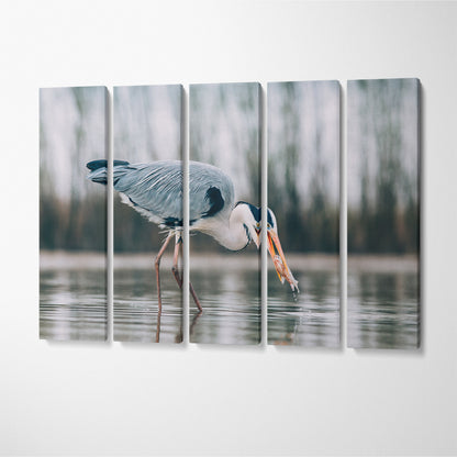 Grey Heron Fishing on Lake Canvas Print ArtLexy 5 Panels 36"x24" inches 