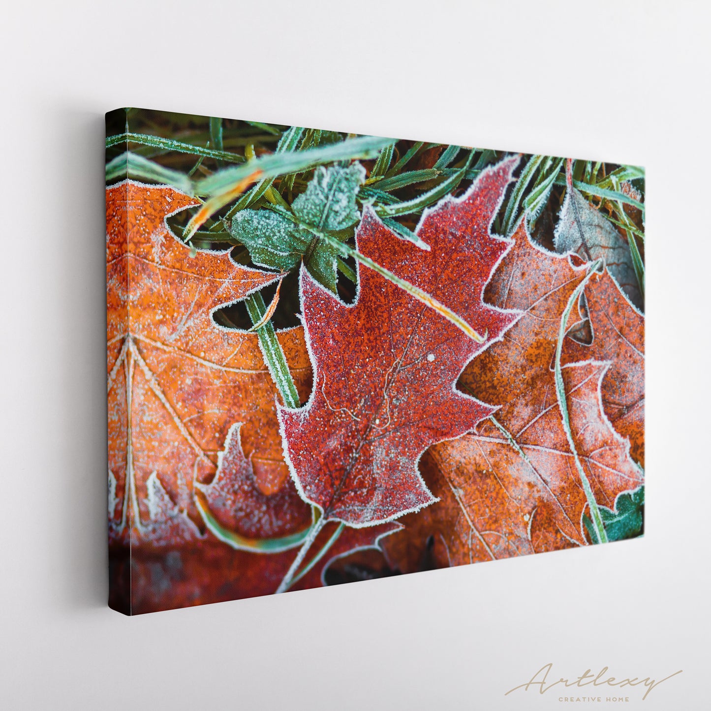 Beautiful Frosty Leaves Canvas Print ArtLexy   