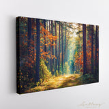 Beautiful Forest with Sun Rays Canvas Print ArtLexy   