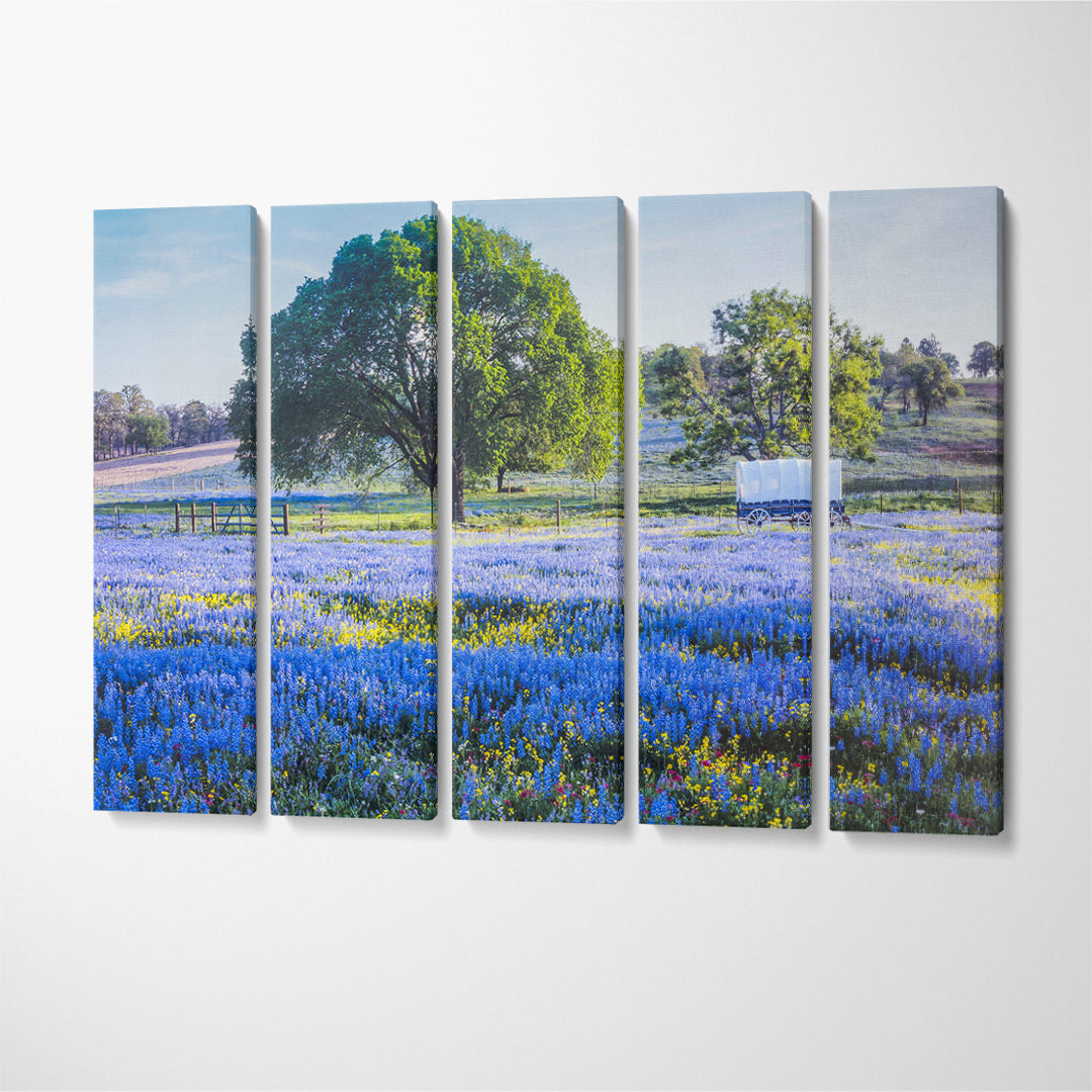 Texas Hill Country South Texas Canvas Print ArtLexy 5 Panels 36"x24" inches 