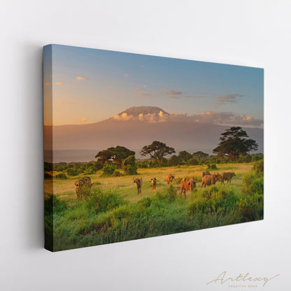 Buffalo in front of Mount Kilimanjaro Kenya Canvas Print ArtLexy   