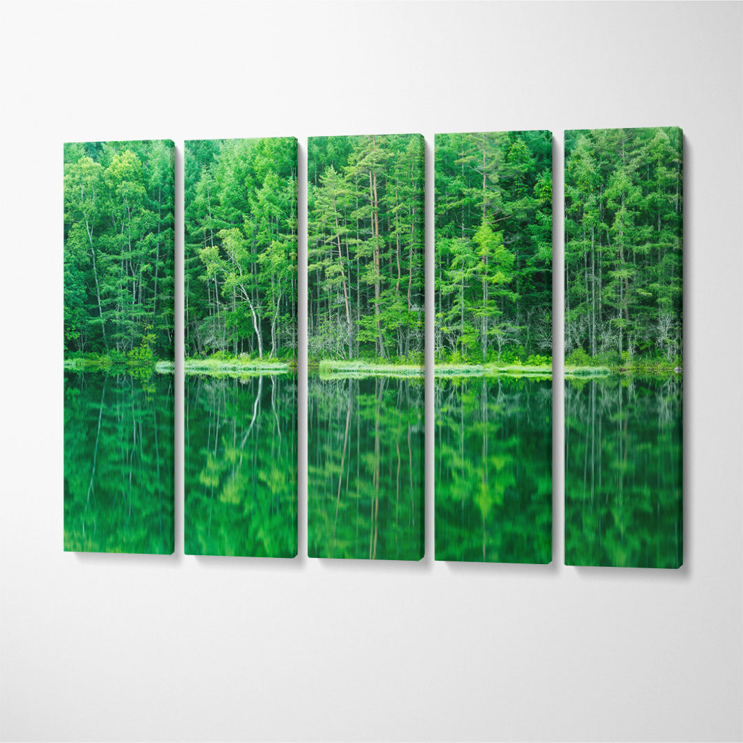 Trees Reflection in Mishaka Pond Japanese Canvas Print ArtLexy 5 Panels 36"x24" inches 