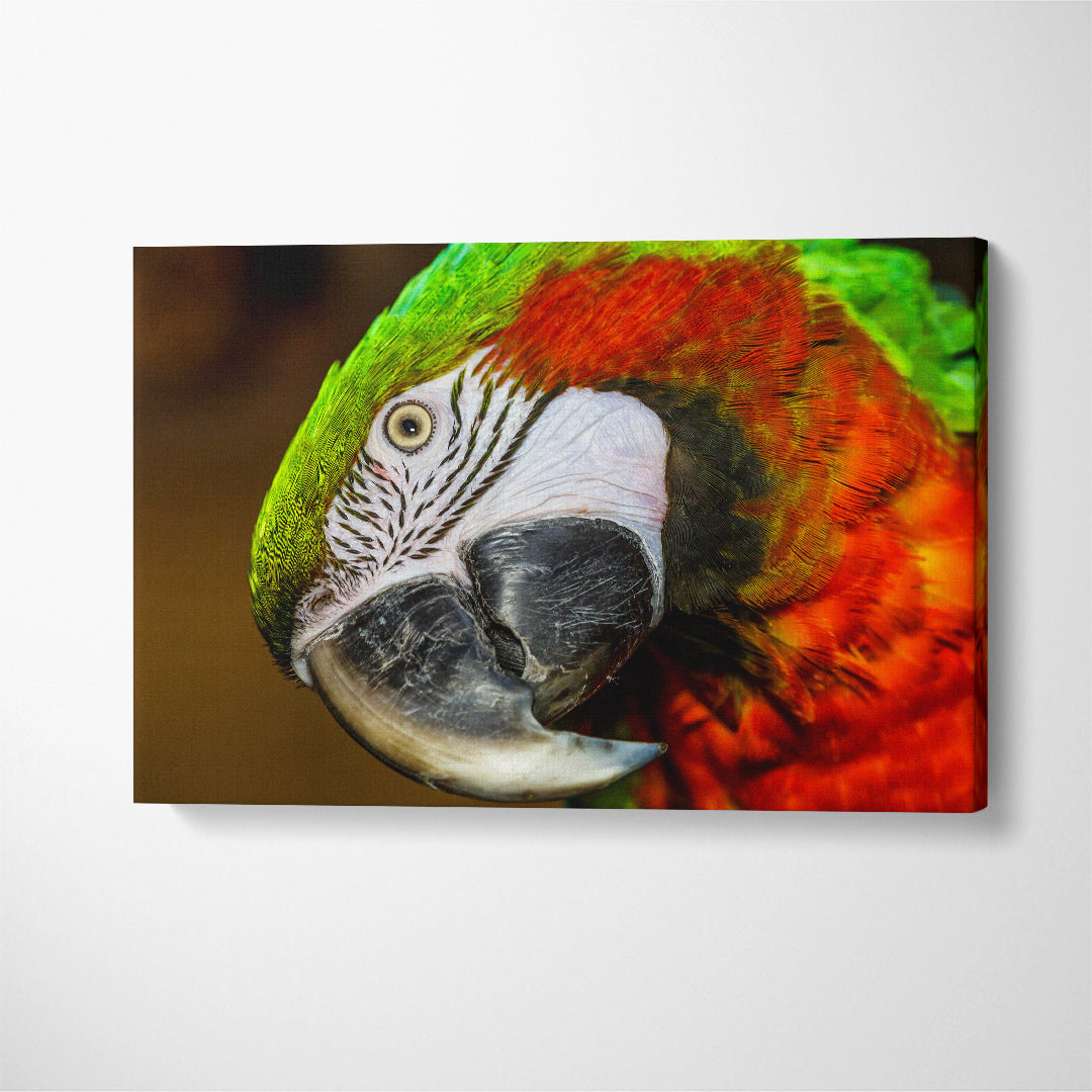 Red-and-Green Macaw Canvas Print ArtLexy 1 Panel 24"x16" inches 