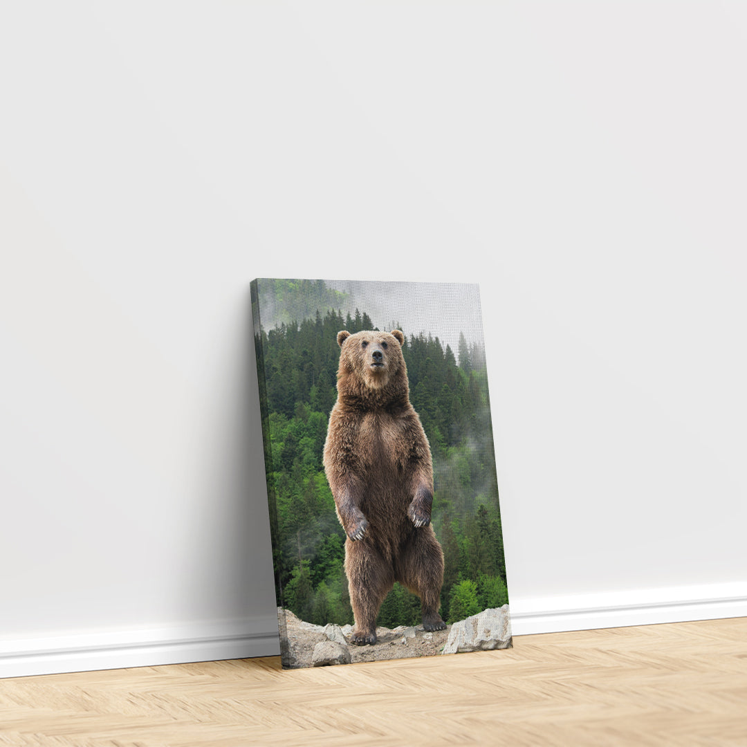 Brown Bear in Forest Canvas Print ArtLexy   